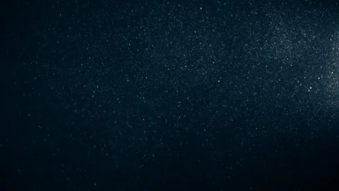 Natural Organic Dust Particles Float On Black Background. Dust In Motion. 库存影片 123335362