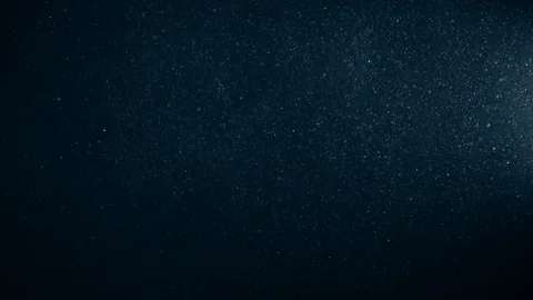 Natural Organic Dust Particles Float On Black Background. Dust In Motion. 库存影片 123335398