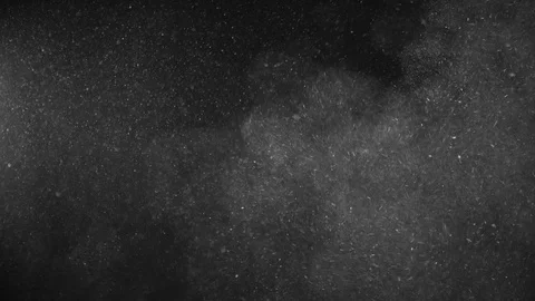 Natural Organic Dust Particles Float On Black Background. Dust In Motion. Stock-Footage 123335526