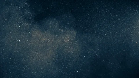 Natural Organic Dust Particles Float On Black Background. Dust In Motion. Stock Footage 123335882