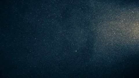 Natural Organic Dust Particles Float On Black Background. Dust In Motion. Vidéo 123336064