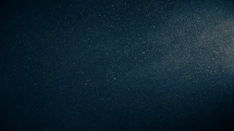 Natural Organic Dust Particles Float On Black Background. Dust In Motion. 库存影片 123336463