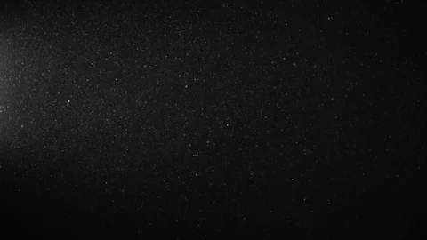 Natural Organic Dust Particles Float On Black Background. Dust In Motion. Vidéo 123337063
