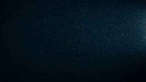 Natural Organic Dust Particles Float On Black Background. Dust In Motion. 库存影片 123337095