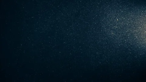 Natural Organic Dust Particles Float On Black Background. Dust In Motion. Vidéo 123337429