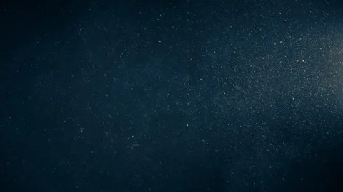 Natural Organic Dust Particles Float On Black Background. Dust In Motion. Stock-Footage 123337797