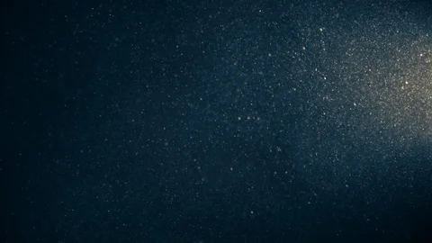 Natural Organic Dust Particles Float On Black Background. Dust In Motion. Vidéo 123338084