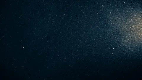 Natural Organic Dust Particles Float On Black Background. Dust In Motion. Vidéo 123338355