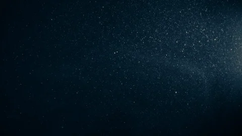 Natural Organic Dust Particles Float On Black Background. Dust In Motion. Vidéo 123338455