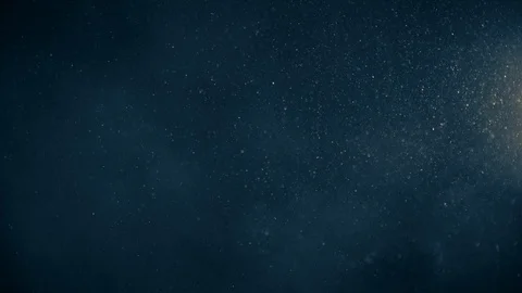 Natural Organic Dust Particles Float On Black Background. Dust In Motion. Stock Footage 123338704