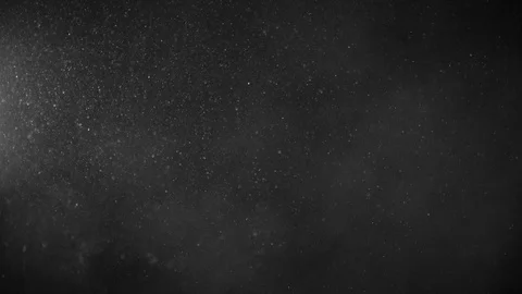 Natural Organic Dust Particles Float On Black Background. Dust In Motion. Vidéo 123338818