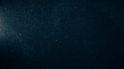 Natural Organic Dust Particles Float On Black Background. Dust In Motion. Stock Footage 123390612