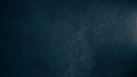Natural Organic Dust Particles Float On Black Background. Dust In Motion. Vidéo 123390633