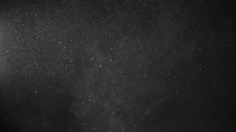 Natural Organic Dust Particles Float On Black Background. Dust In Motion. Vidéo 123390639
