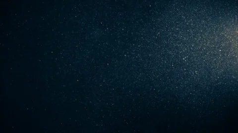 Natural Organic Dust Particles Float On Black Background. Dust In Motion. Vidéo 123391008