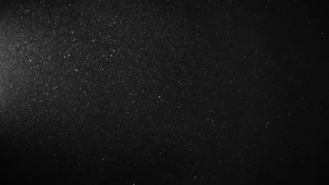 Natural Organic Dust Particles Float On Black Background. Dust In Motion. Stock Footage 123391011