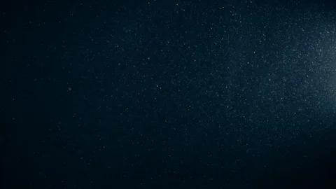 Natural Organic Dust Particles Float On Black Background. Dust In Motion. 库存影片 123391020