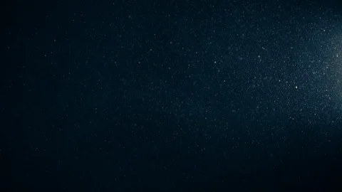 Natural Organic Dust Particles Float On Black Background. Dust In Motion. 库存影片 123391060
