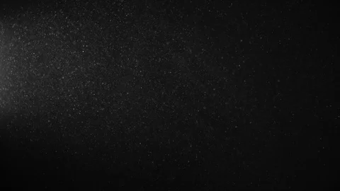 Natural Organic Dust Particles Float On Black Background. Dust In Motion. Vidéo 123391174