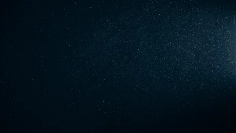 Natural Organic Dust Particles Float On Black Background. Dust In Motion. Vidéo 123391177