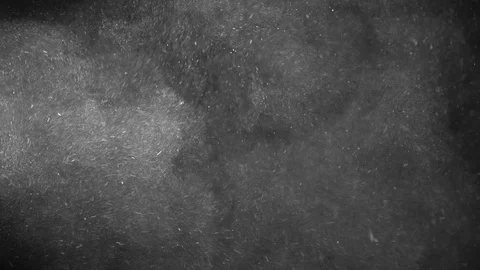Natural Organic Dust Particles Float On Black Background. Dust In Motion. Stock-Footage 123391208