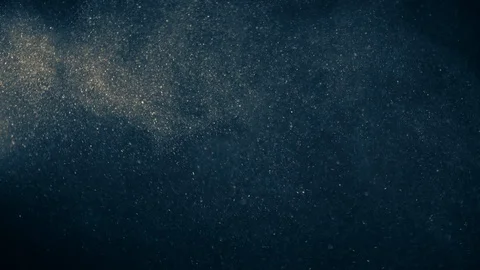 Natural Organic Dust Particles Float On Black Background. Dust In Motion. Stock Footage 123391295