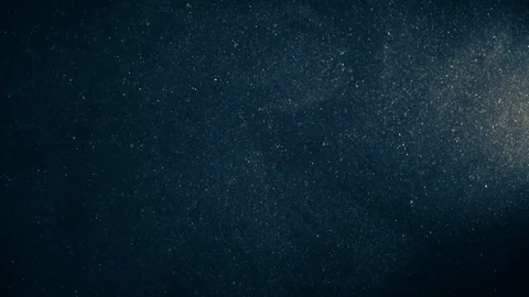 Natural Organic Dust Particles Float On Black Background. Dust In Motion. 库存影片 123391348