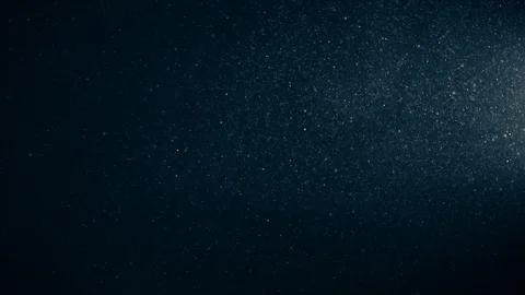 Natural Organic Dust Particles Float On Black Background. Dust In Motion. Stock Footage 123391436
