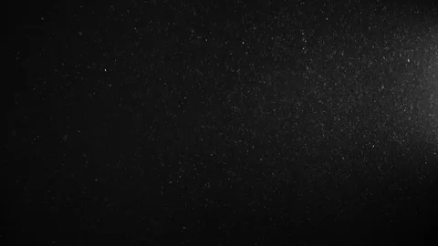 Natural Organic Dust Particles Float On Black Background. Dust In Motion. Stock Footage 123391463