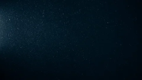 Natural Organic Dust Particles Float On Black Background. Dust In Motion. Stock-Footage 123391503