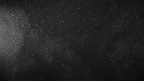 Natural Organic Dust Particles Float On Black Background. Dust In Motion. Vidéo 123391509