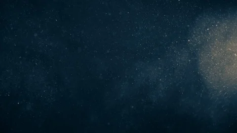 Natural Organic Dust Particles Float On Black Background. Dust In Motion. Stock Footage 123391635