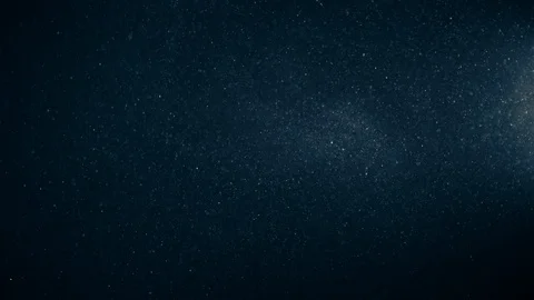 Natural Organic Dust Particles Float On Black Background. Dust In Motion. Vidéo 123391794