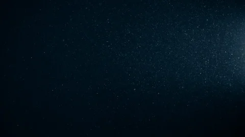 Natural Organic Dust Particles Float On Black Background. Dust In Motion. 库存影片 123391953