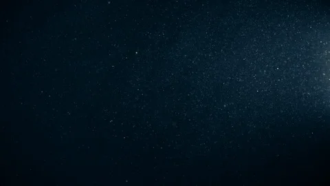 Natural Organic Dust Particles Float On Black Background. Dust In Motion. 库存影片 123391954