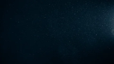 Natural Organic Dust Particles Float On Black Background. Dust In Motion. 库存影片 123392171