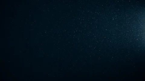 Natural Organic Dust Particles Float On Black Background. Dust In Motion. Stock Footage 123392367