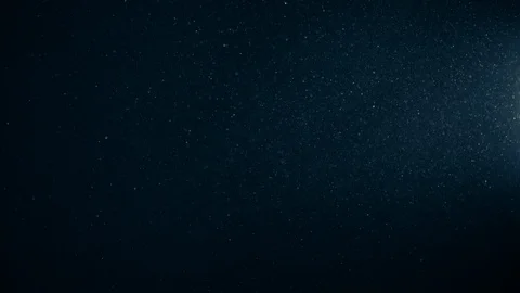 Natural Organic Dust Particles Float On Black Background. Dust In Motion. Stock Footage 123392668