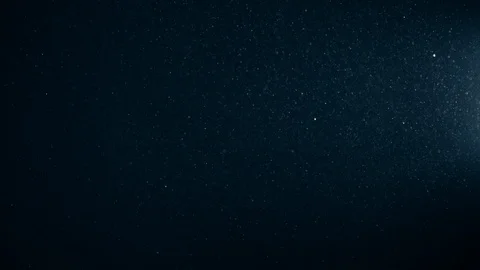 Natural Organic Dust Particles Float On Black Background. Dust In Motion. Vidéo 123392716