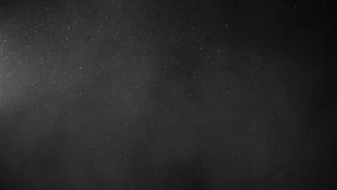 Natural Organic Dust Particles Float On Black Background. Dust In Motion. Vidéo 123393044