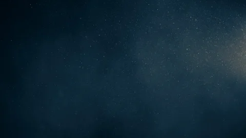 Natural Organic Dust Particles Float On Black Background. Dust In Motion. Vidéo 123393053