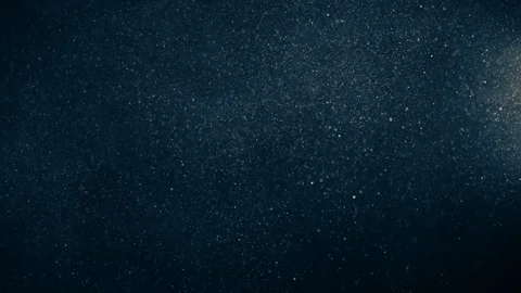 Natural Organic Dust Particles Float On Black Background. Dust In Motion. 库存影片 123393282