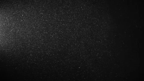 Natural Organic Dust Particles Float On Black Background. Dust In Motion. Vidéo 123393304