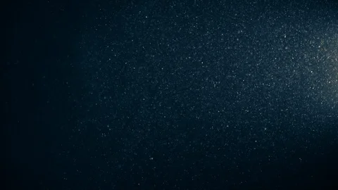 Natural Organic Dust Particles Float On Black Background. Dust In Motion. Stock-Footage 123393317