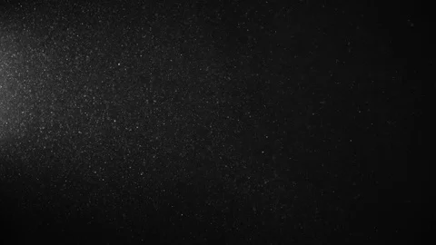 Natural Organic Dust Particles Float On Black Background. Dust In Motion. Vidéo 123393329