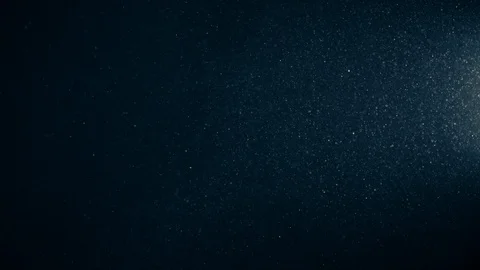 Natural Organic Dust Particles Float On Black Background. Dust In Motion. Vidéo 123393496