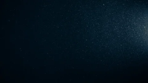 Natural Organic Dust Particles Float On Black Background. Dust In Motion. Stock Footage 123393554