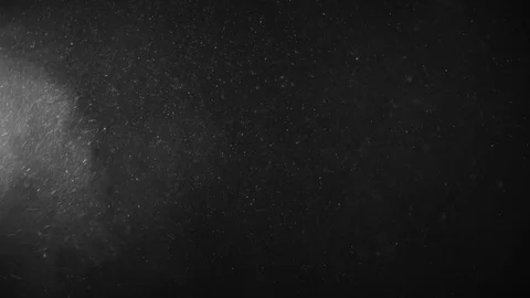 Natural Organic Dust Particles Float On Black Background. Dust In Motion. 库存影片 123393558