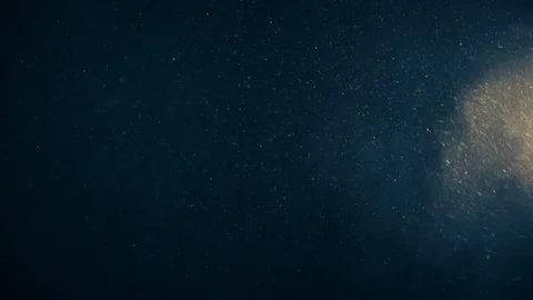 Natural Organic Dust Particles Float On Black Background. Dust In Motion. 库存影片 123393572