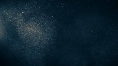 Natural Organic Dust Particles Float On Black Background. Dust In Motion. Stock Footage 123393883
